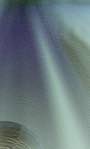 image: Image from the photoset ‘texture (i)’.