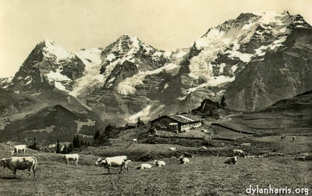 Image 'lake thun 4'.