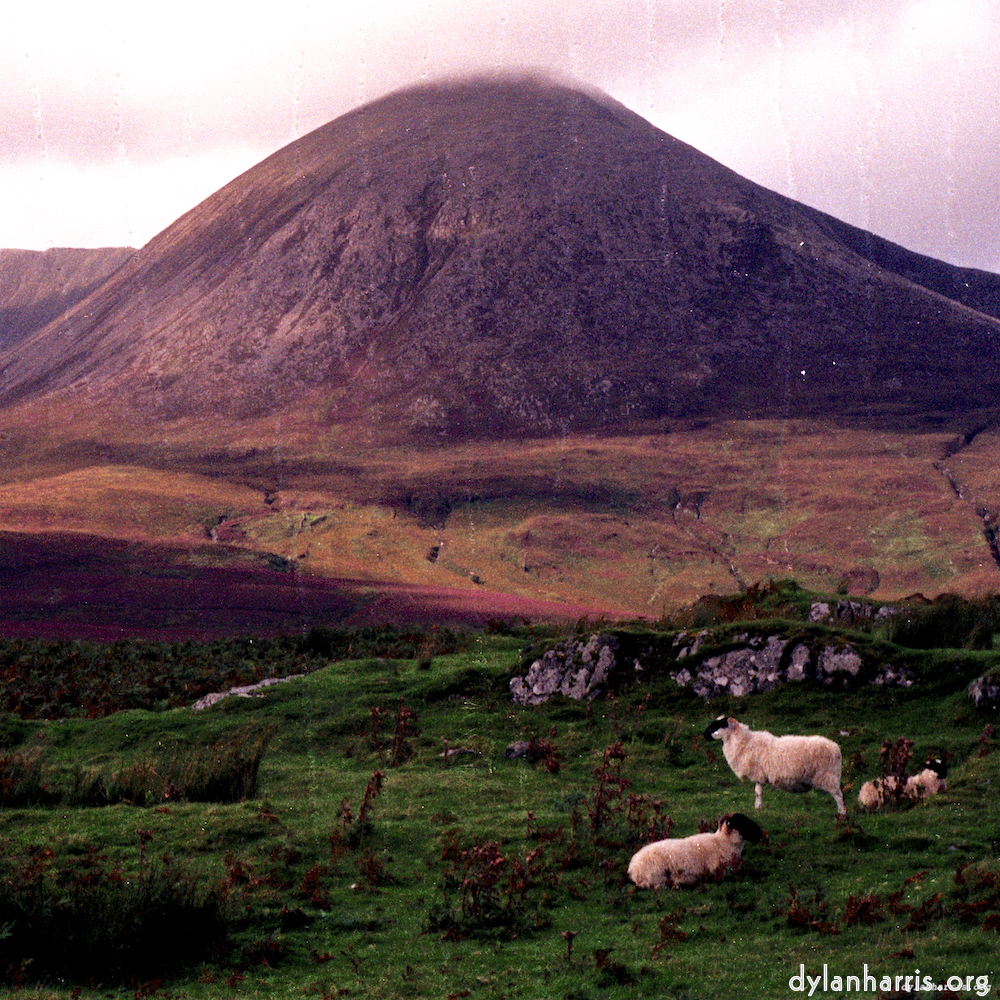 Image 'highlands (x) 8'.