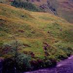 Second image from the photoset 'highlands (x)'.