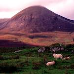 Eighth image from the photoset 'highlands (x)'.