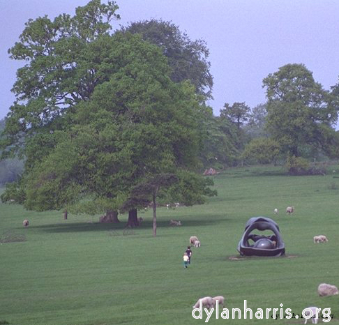 Image 'yorkshire sculpture park (i) 6'.