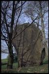 Sixth image from the photoset 'yorkshire sculpture park (iv)'.
