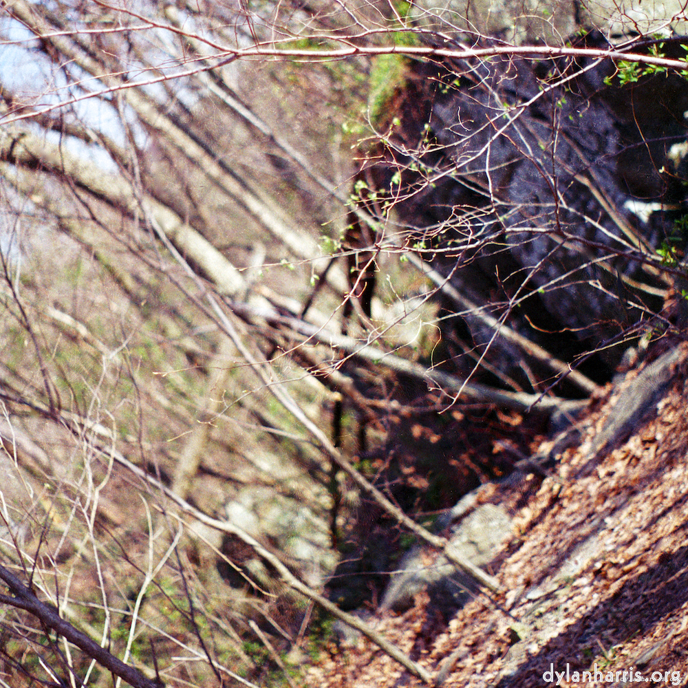 image: an image
