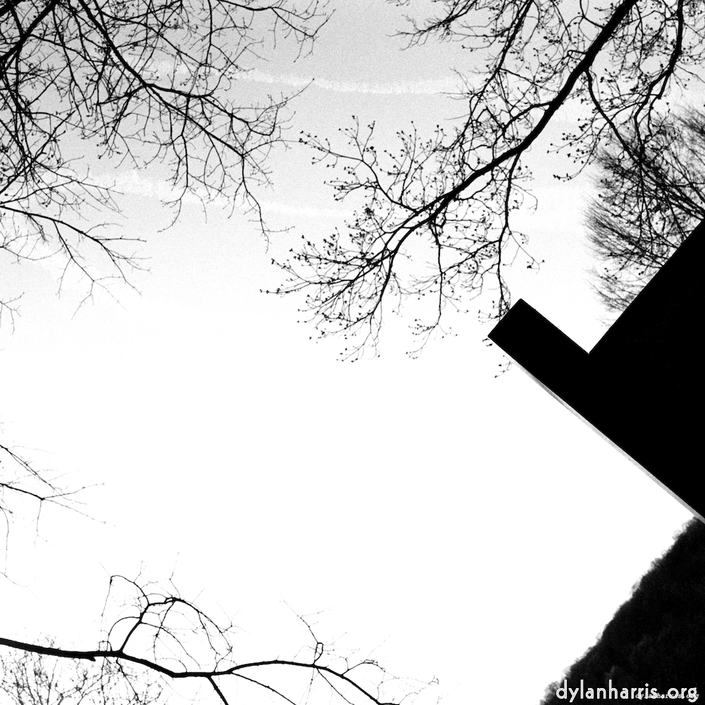 image: an image
