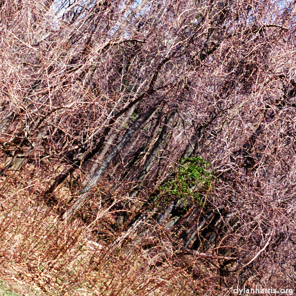 image: an image
