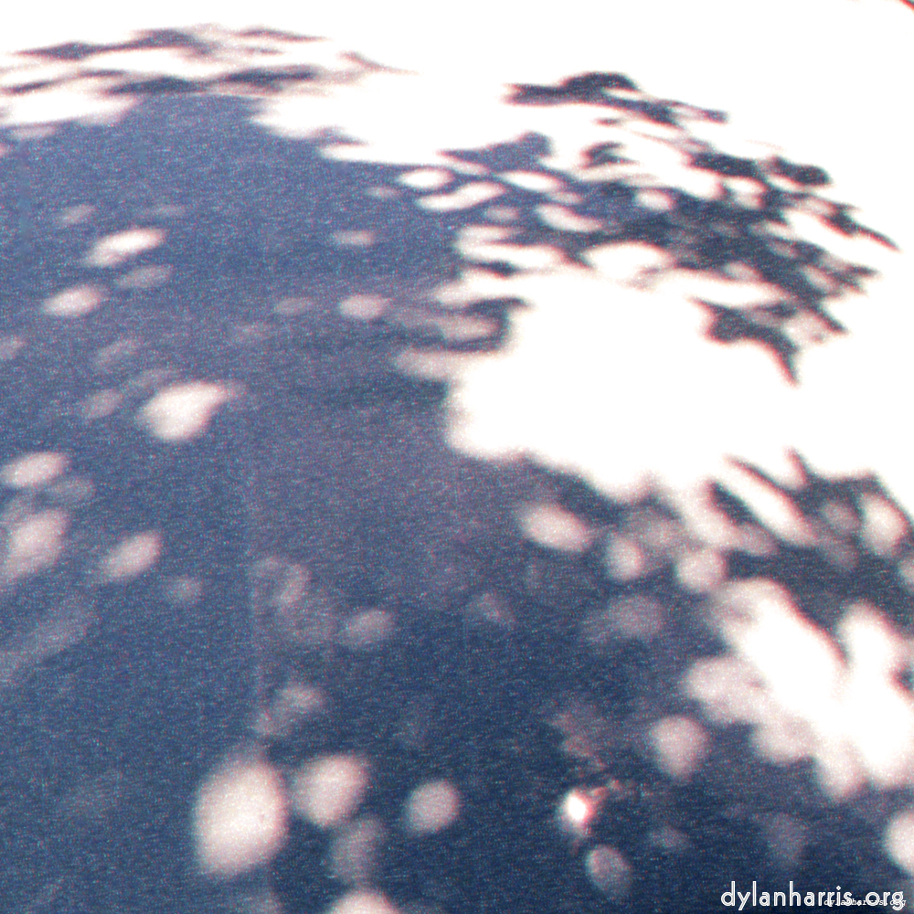 image: an image