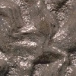 image: an image