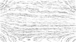 image: image from in op example 2