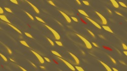 image: image from textures