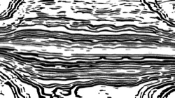 image: image from black n white