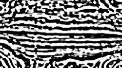 image: image from black n white