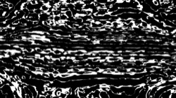 image: image from black n white
