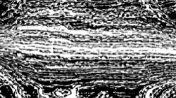 source process :: bwscreen5