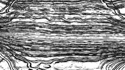 image: image from src proc 2