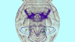 anim test 1 :: pickoveranim4