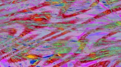 attrt :: dualmodmap1