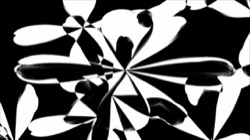 attrt :: sachaos1z2a