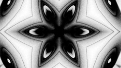 image: image from bw attractor