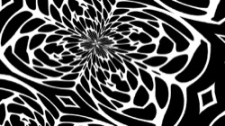 image: image from bw attractor