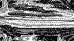 image: image from head abstraction