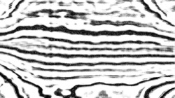 image: image from screen