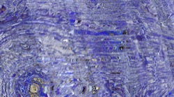 image: image from backing