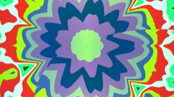 image: image from cirsym