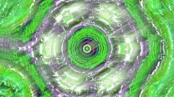 image: image from organic sym