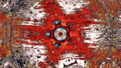 image: image from organic sym