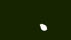 image: image from a new