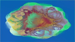 image: image from new 10