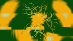 image: image from new 15