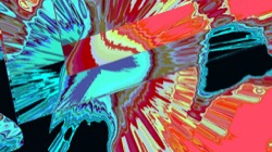 image: image from new 9