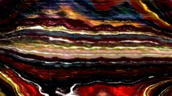 image: image from new 9