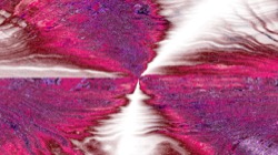 image: image from z