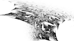 ztest1 :: ifsgen7test3f