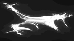 ztest1 :: itermapgen5t5