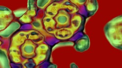 image: image from ztest2