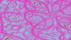 image: image from msg 6