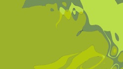 image: image from z test 1