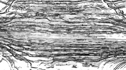 z test 2 :: displaceattr3