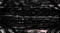 image: image from adventure set 3