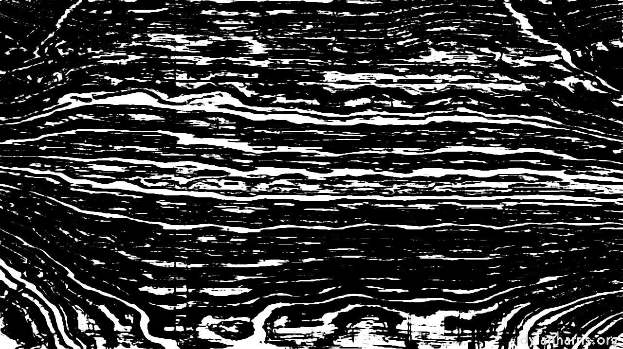 bwnoirelook4