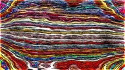 colour sketch ideas :: colourinksketch2a