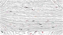 movie processing ideas 2 :: swimtest2