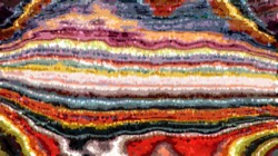 image: image from interpolator fills