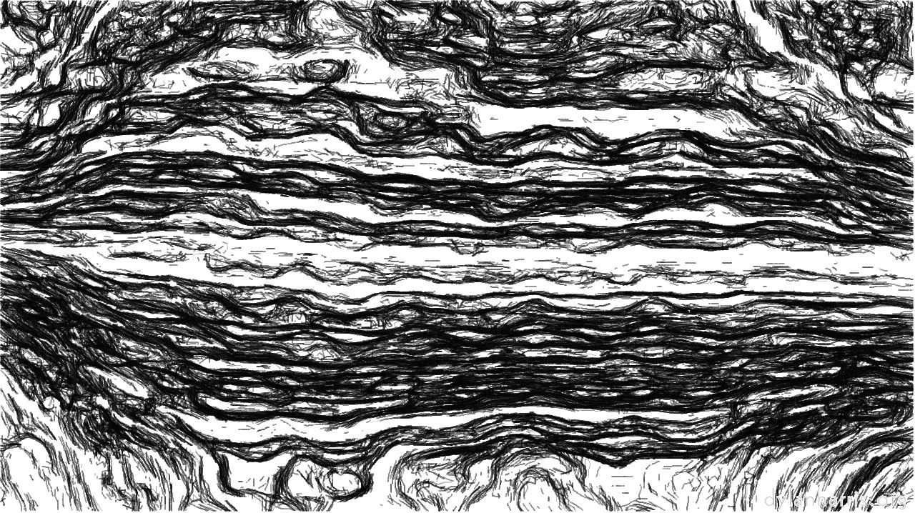 bwdetailer1