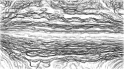 autopaint1 :: bwdetailerfin1