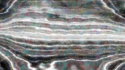 branchy filaments :: dampscribbler1